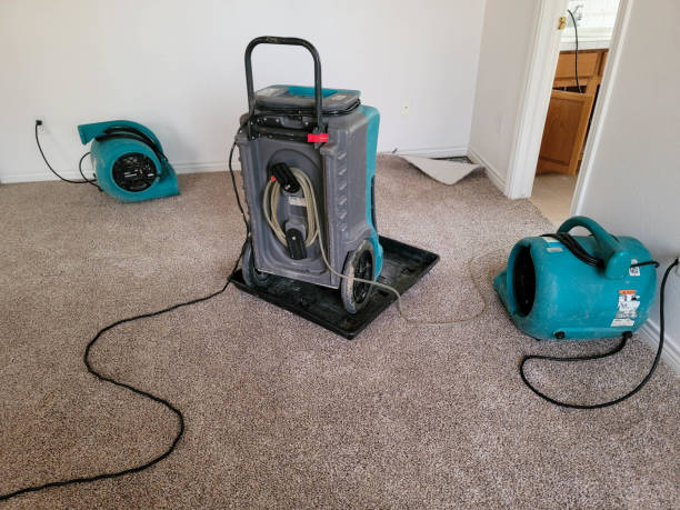 Best Emergency water damage restoration  in Wellington, CO