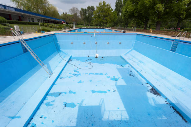 Best Basement water damage restoration  in Wellington, CO