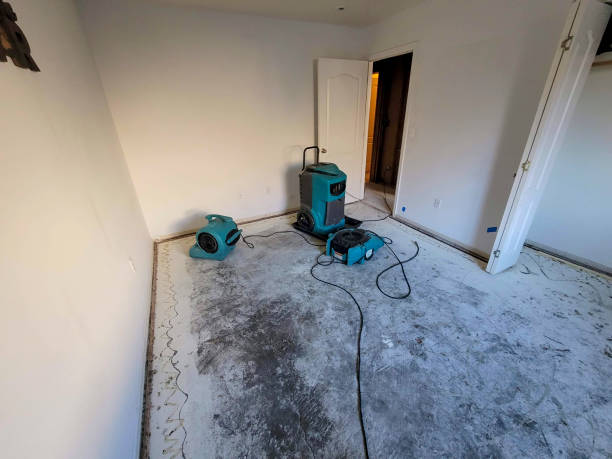 Professional Water damage restoration in Wellington, CO