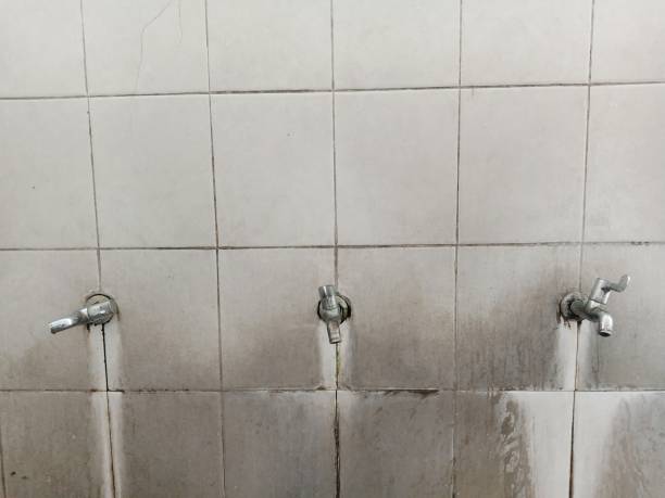 Best 24-hour water damage restoration  in Wellington, CO