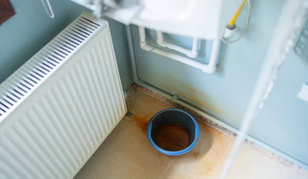 Best 24/7 water damage repair  in Wellington, CO