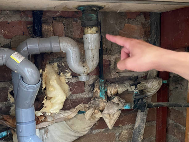 Best Flooded house restoration  in Wellington, CO