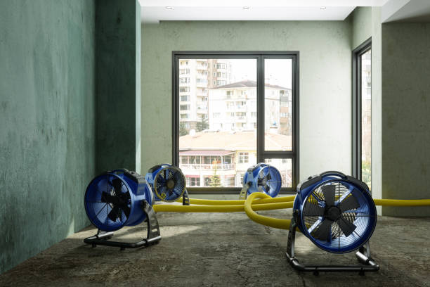  Wellington, CO Water damage restoration Pros